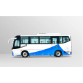Bus touristique électrique 30 places